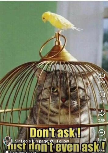 DE82C725-7ED8-4CAC-8D42-8A761A56954A