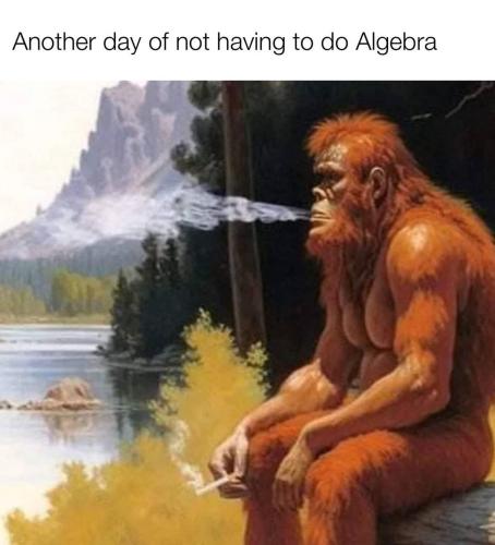 FB_IMG_1741980485402