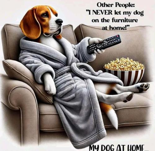 FB_IMG_1740025349126