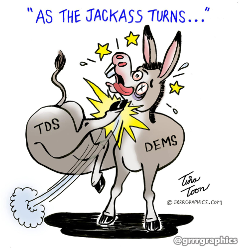 image_2025-03-08_082624599