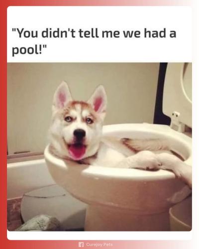 FB_IMG_1741641736241