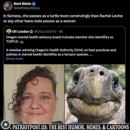 01JPBXC8ACEC17G1NKJZQA5K2W