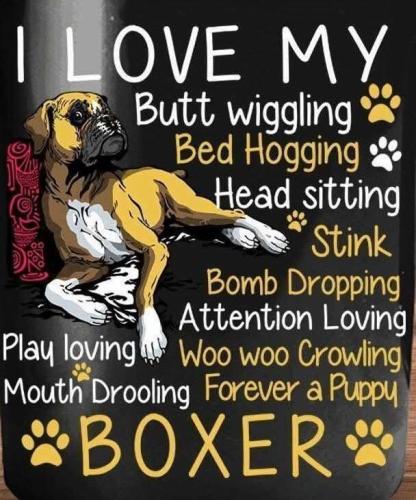 FB_IMG_1743100807906