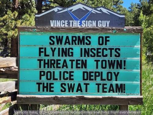 image-N3x0fBLIqW3jgdnH