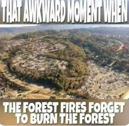 IMG_20250305_053823_996