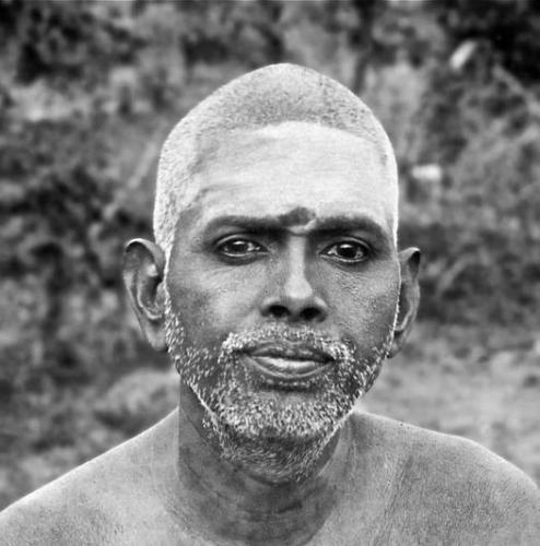 ,       ,        423193798_7468111