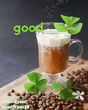 giphy-downsized-medium