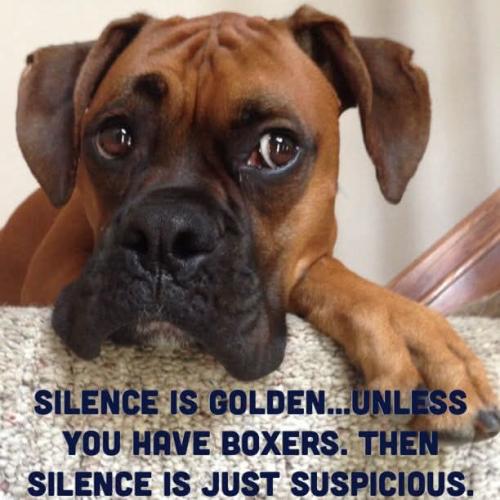 FB_IMG_1741904185676