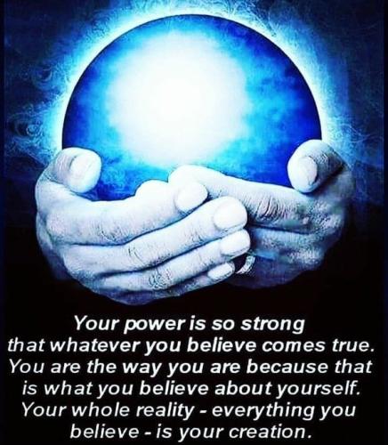 ,       ,        423193798_7468111