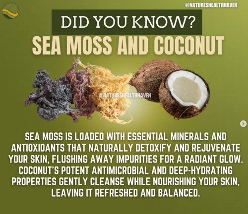 Screenshot 2025-03-16 174909