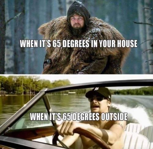 Screenshot_20250324_141419_Gallery