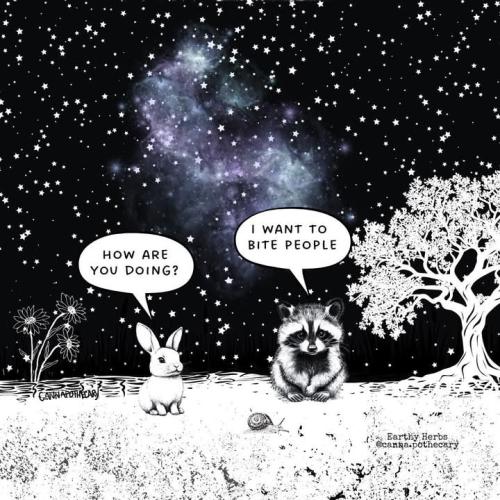 FB_IMG_1740943401431