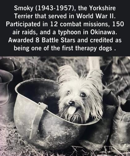 482099704_1208174777563589_3847577078573197778_n