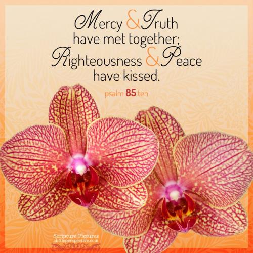 psa-85-10-NKJV-unsplash