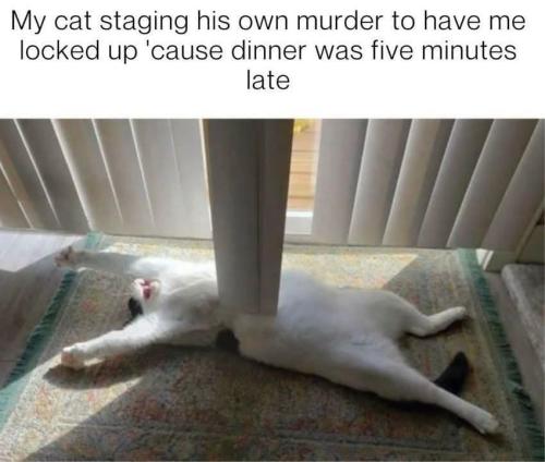 FB_IMG_1742147367564