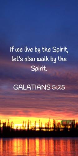 485413648_10235340049458745_5020274891864140085_n