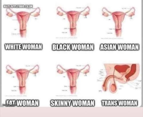 485878321_2129615524168442_7734185958903508377_n