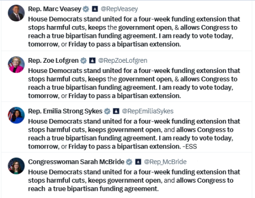 image_2025-03-13_064641252