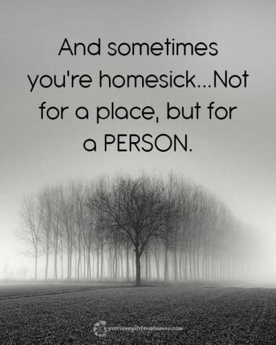 FB_IMG_1742548527193