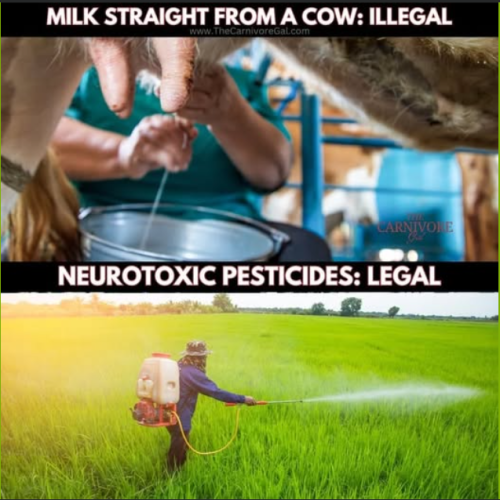 Screenshot 2025-03-23 172439