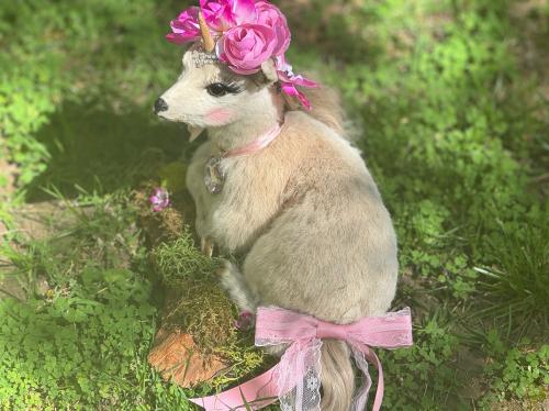 C650F03A-70C6-4B85-B39D-B16B6FD7AA7C