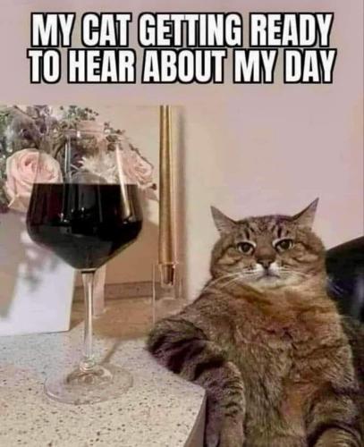 FB_IMG_1741904172872