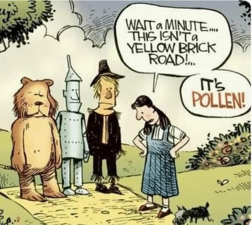 CAF5EB1B-B521-4D30-9003-5884540C4B40