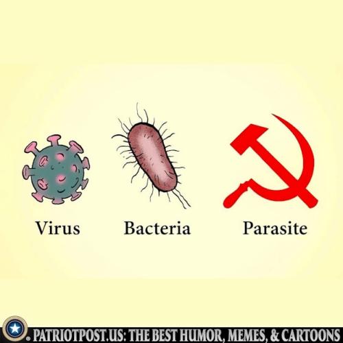 01JQ43667X9H59YZ575PWXR1X8