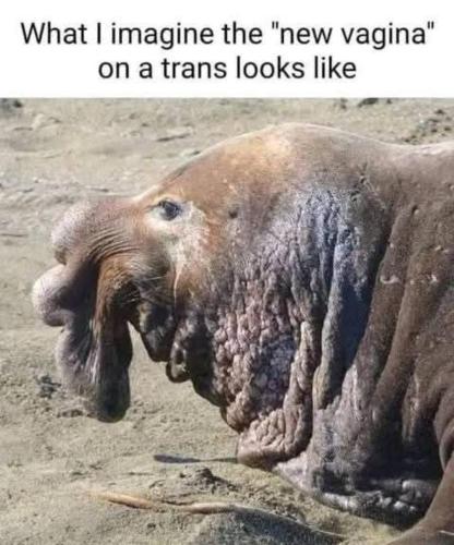 image_C1E4A8B7-F824-4416-9D2E-B7A4EFA2DB0D