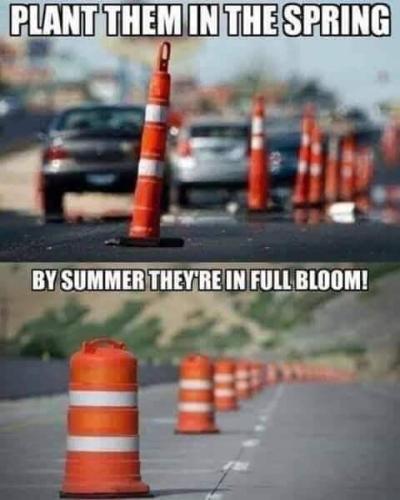 FB_IMG_1553990572669