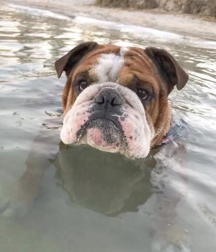 FB_IMG_1740760233406