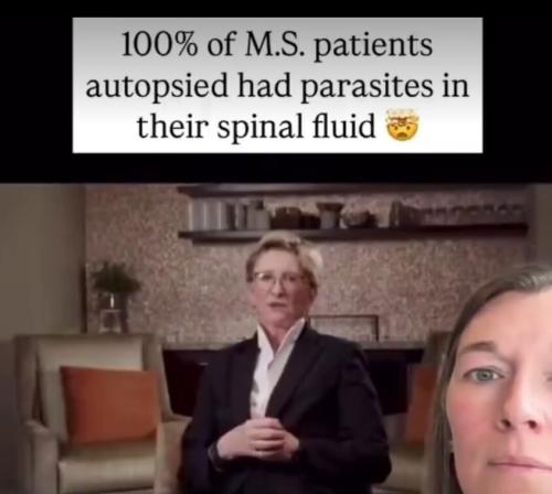 MS patients have parasites in their blood