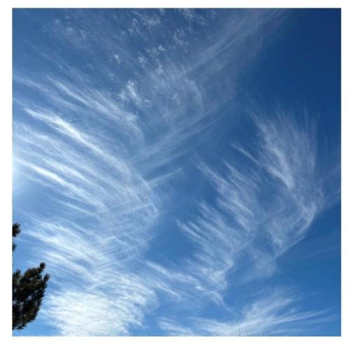 a012d09f-5f7d-486d-bcf6-616d90be81f0