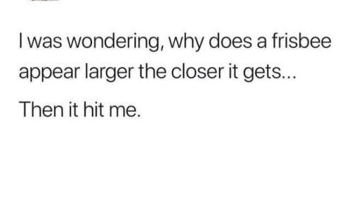 FB_IMG_1739464466085