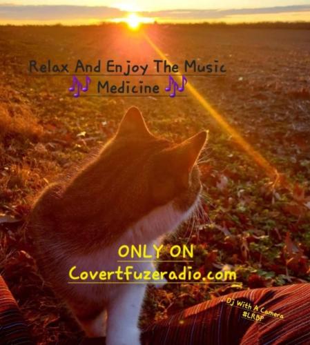 Screenshot_20250303_184040_Gallery