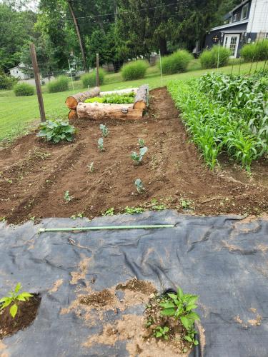 c47f5b7f-3c5d-4023-b7e9-405c06f8fd64