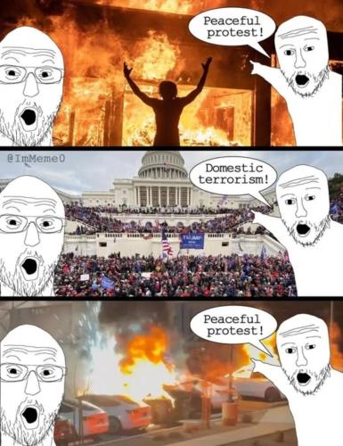 image_81EFF8BE-6E92-4821-BFC6-6E1C441FCD56