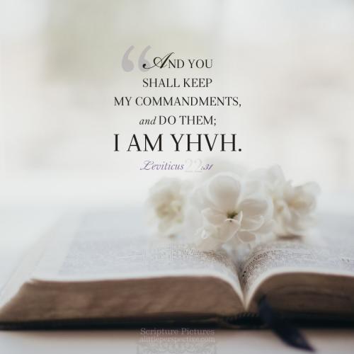 lev-22-31-JPS-unsplash