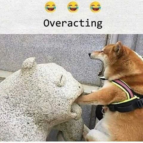 FB_IMG_1740929954369