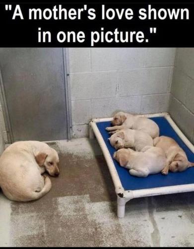 FB_IMG_1742548440584