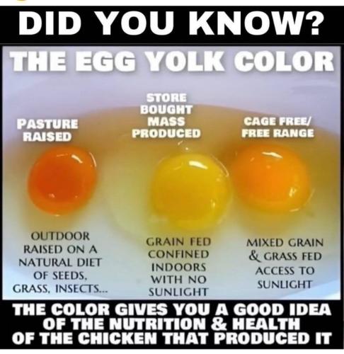 IMG_20250308_190107_657