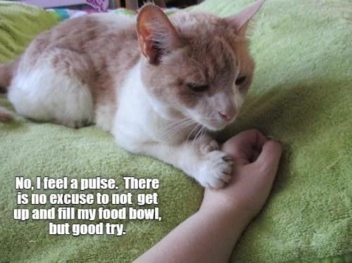 fea4082e0f2a622767edfa380e41ff81