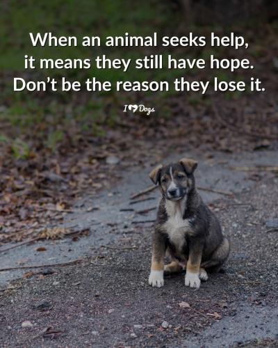 FB_IMG_1739560821858