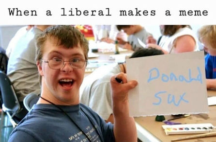 when a liberal makes a meme