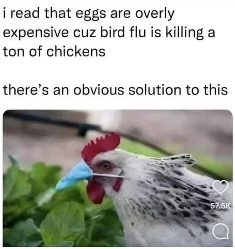 image_2025-03-08_095713627