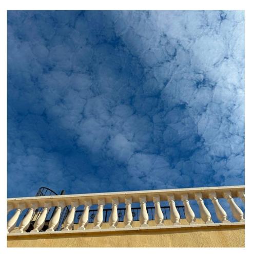 edd91600-29a9-48d1-a95c-f47abe728f94