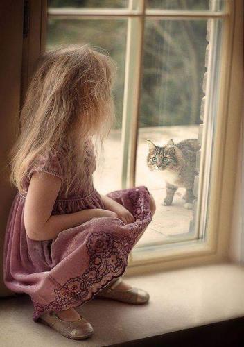 FB_IMG_1554092809162