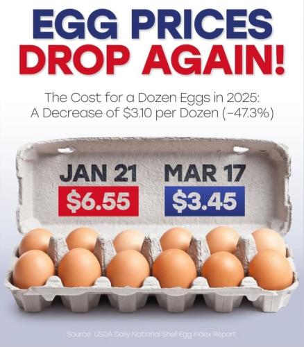 Screenshot_20250317_145855_Instagram