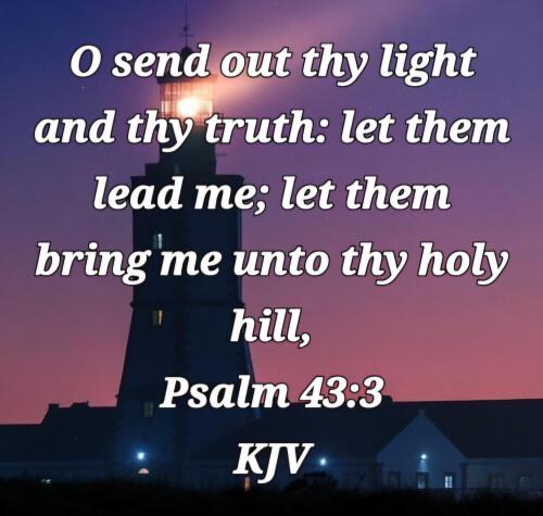 c789363a-4901-4795-907b-3006c92c2d5f