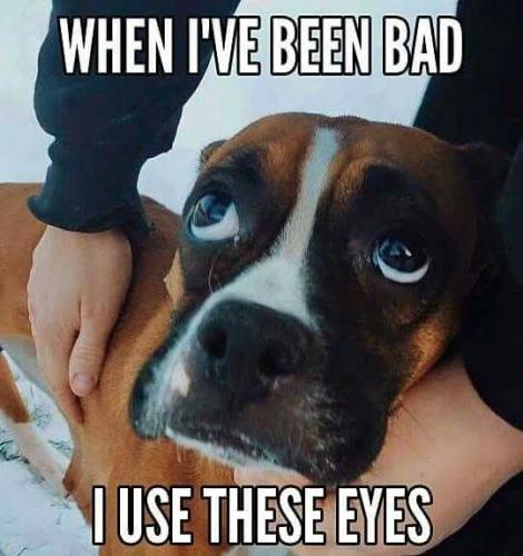 FB_IMG_1742312800896